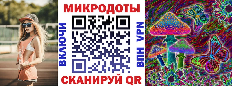mega как войти  Энем  Галлюциногенные грибы Magic Shrooms 